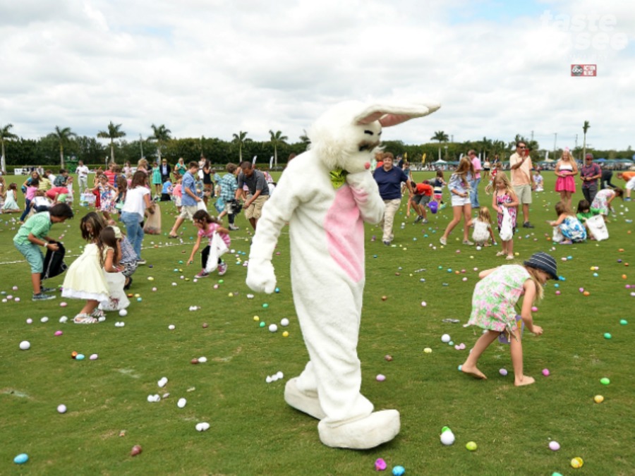 Where to hunt for Easter eggs in Tampa Bay WFTSTV